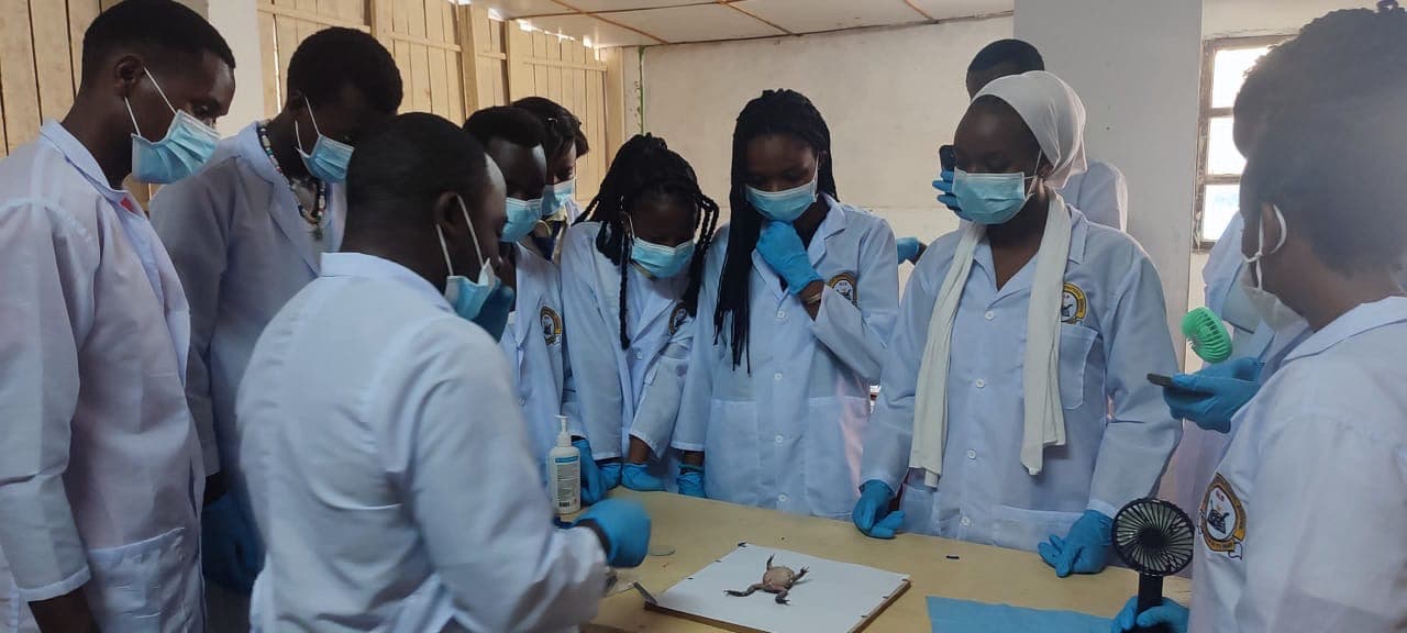 Students taking part in academic learning 7